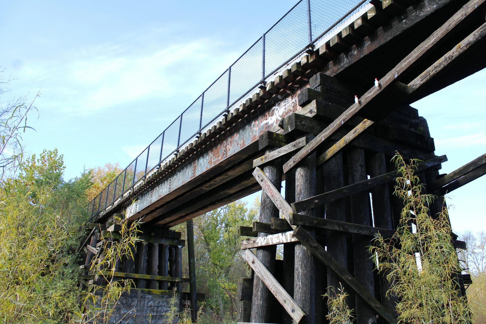 Main span